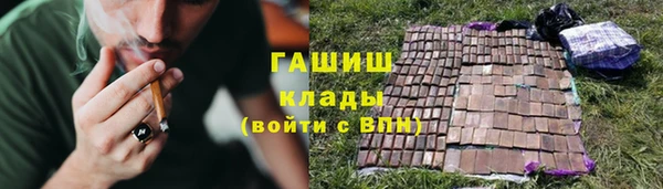 крисы Алексин
