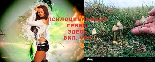 каннабис Алексеевка
