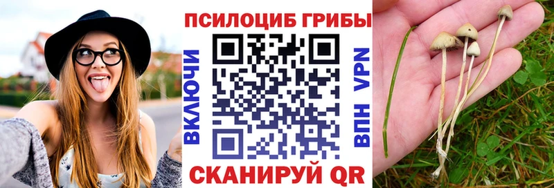 Галлюциногенные грибы ЛСД  как найти наркотики  Обоянь 